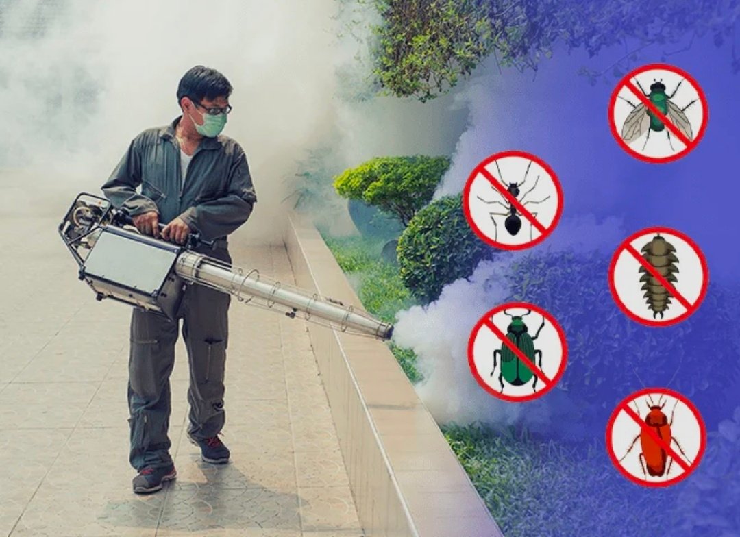 Mosquito Control service image